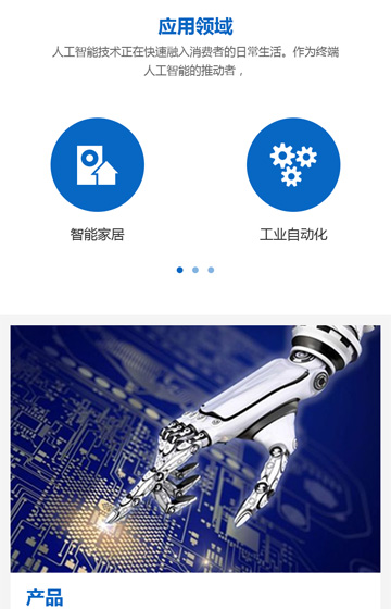 南方硅谷案例圖片1