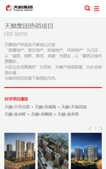 天麟投資案例圖片2