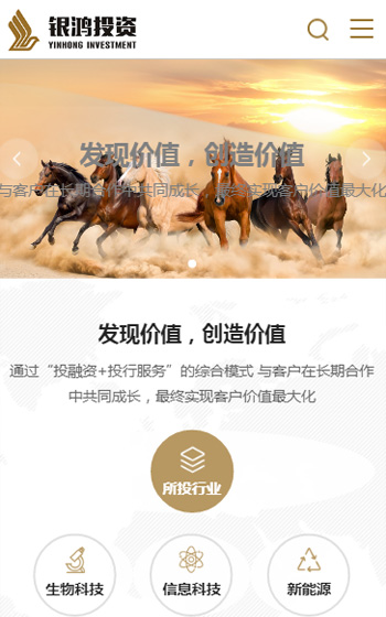 銀鴻投資案例圖片0