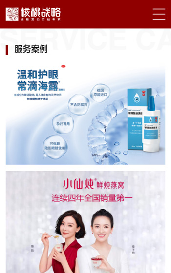 核桃戰(zhàn)略案例圖片2