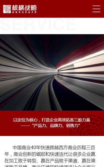 核桃戰(zhàn)略案例圖片3