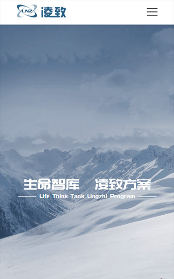 凌致制冷案例圖片0
