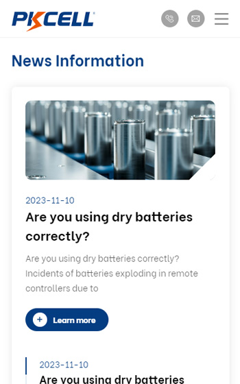 比苛電池案例圖片3