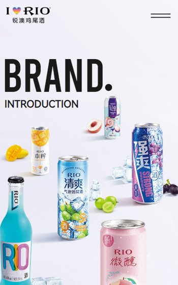 上海巴克斯酒業(yè)有限公司（銳澳）案例圖片0