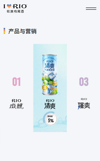 上海巴克斯酒業(yè)有限公司（銳澳）案例圖片1