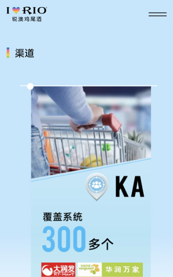 上海巴克斯酒業(yè)有限公司（銳澳）案例圖片3