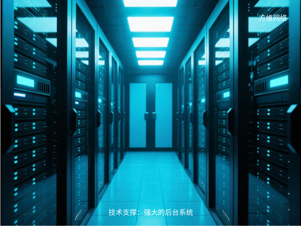 技術(shù)支撐:強(qiáng)大的后臺系統(tǒng)