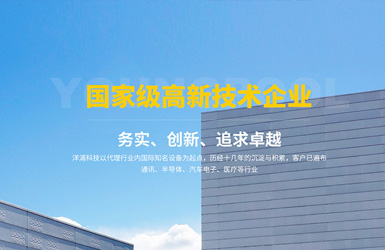 洋浦科技響應式網(wǎng)站案例圖片