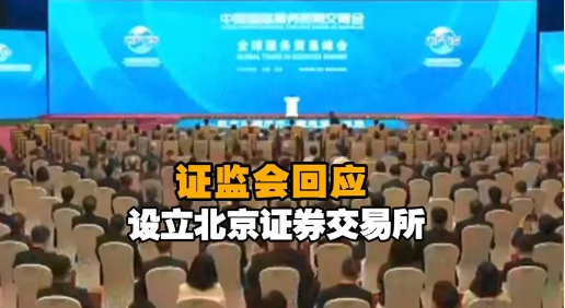 上市公司網(wǎng)站建設(shè)