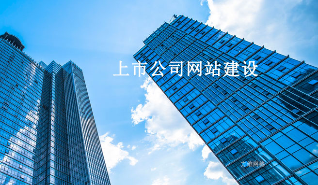上市公司網(wǎng)站建設(shè)