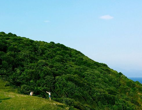 旅游網(wǎng)站建設(shè)